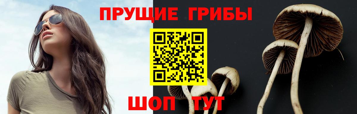 Уфа  Псилоцибиновые грибы GOLDEN TEACHER  Вход с VPN 